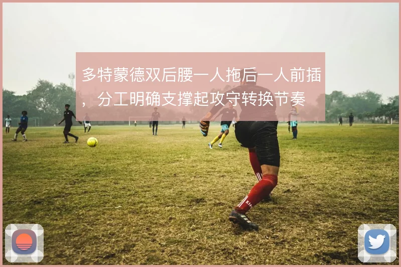 多特蒙德双后腰一人拖后一人前插，分工明确支撑起攻守转换节奏