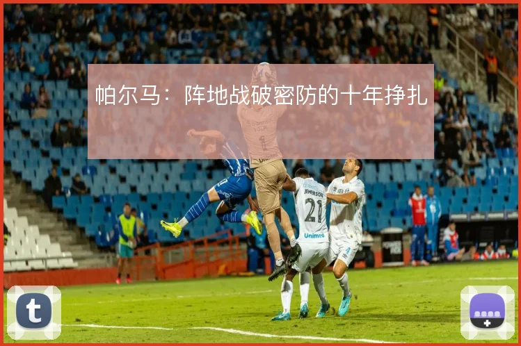 帕尔马:阵地战破密防的十年挣扎