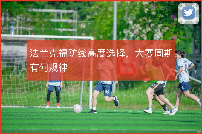 法兰克福防线高度选择，大赛周期有何规律