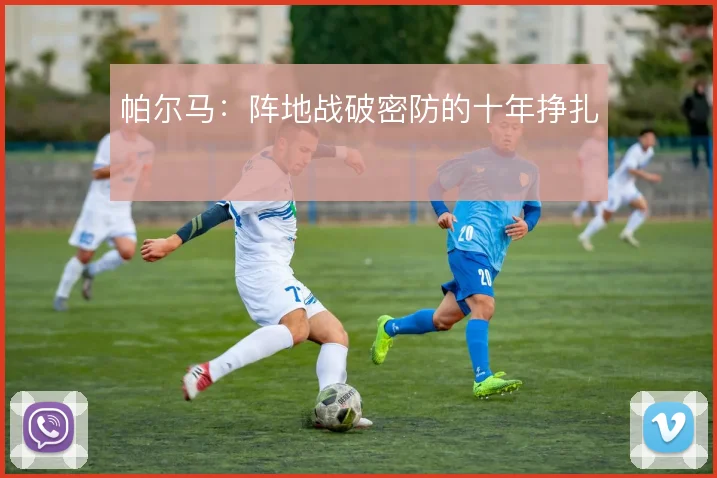 帕尔马:阵地战破密防的十年挣扎